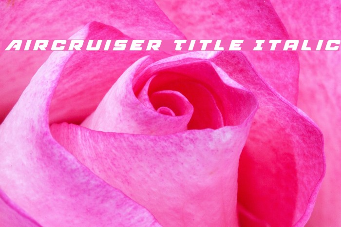 Aircruiser Title Italic Example 1