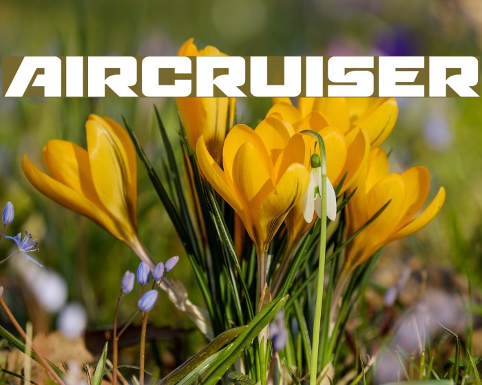Aircruiser Font examples