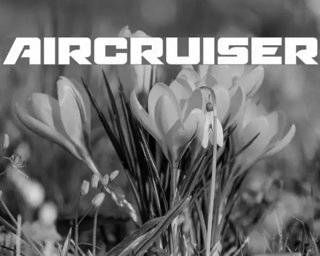 Aircruiser Example 1
