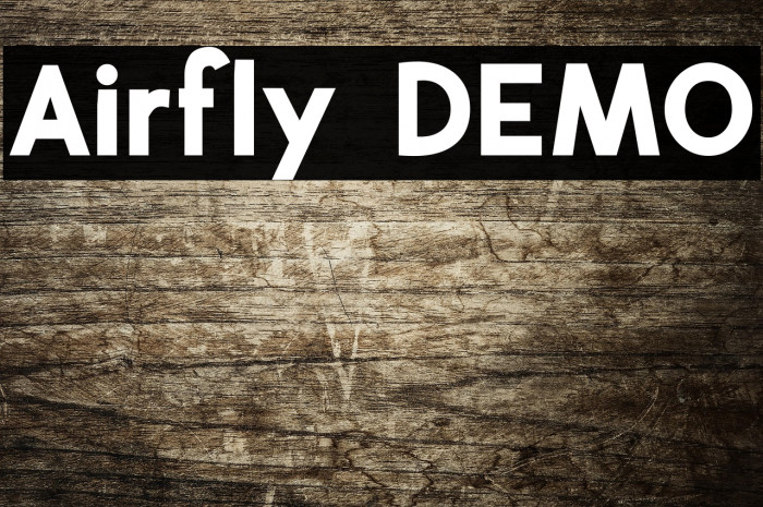 Airfly DEMO Example 1
