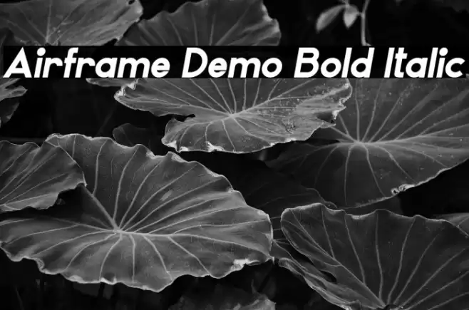 Airframe Demo Bold Italic Font examples