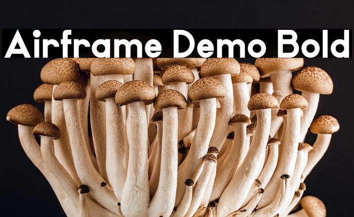 Airframe Demo Bold Example 2