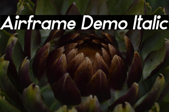 Airframe Demo Italic Example 1