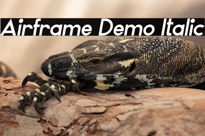 Airframe Demo Italic Example 2