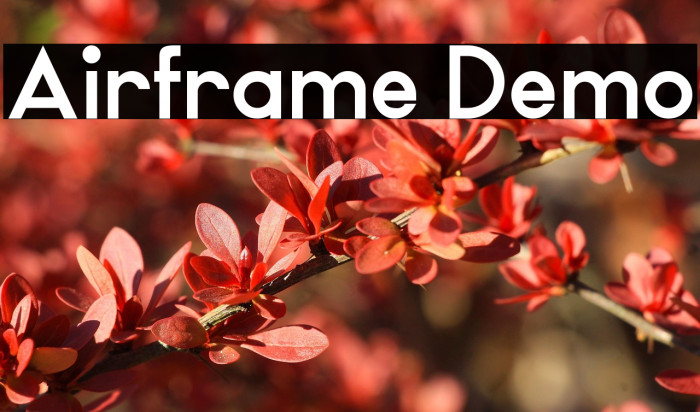 Airframe Demo Example 1