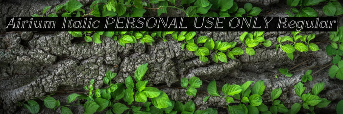 Airium Italic PERSONAL USE ONLY Regular Example 1