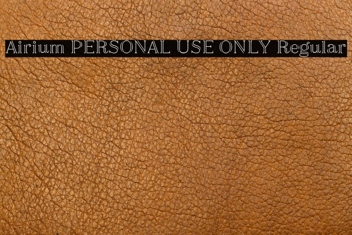 Airium PERSONAL USE ONLY Regular Example 2