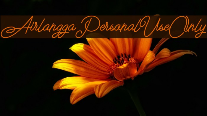 Airlangga Personal Use Only フォント examples