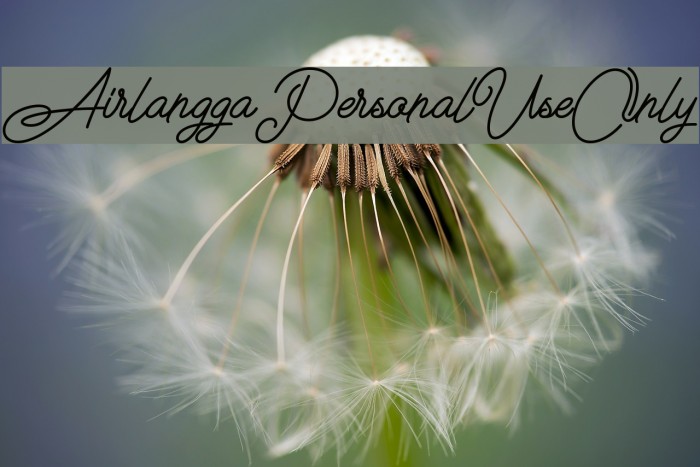 Airlangga Personal Use Only フォント examples