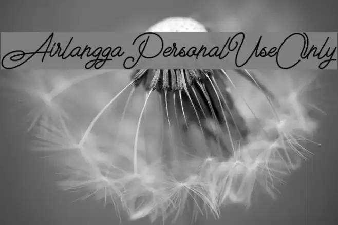 Airlangga Personal Use Only Font examples