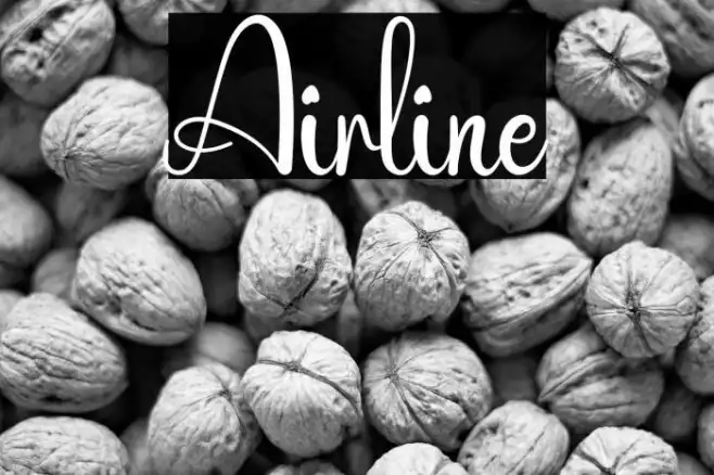 Airline Example 1