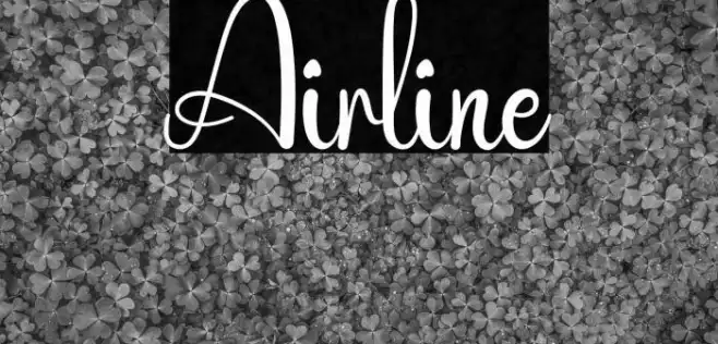 Airline Example 3