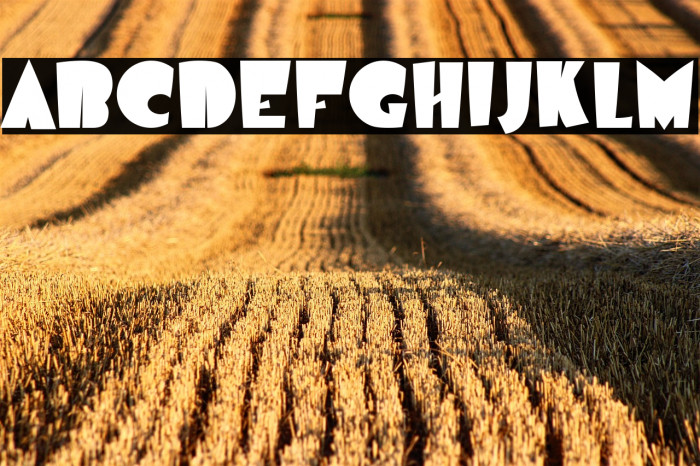 Airmole-Regular Example 2