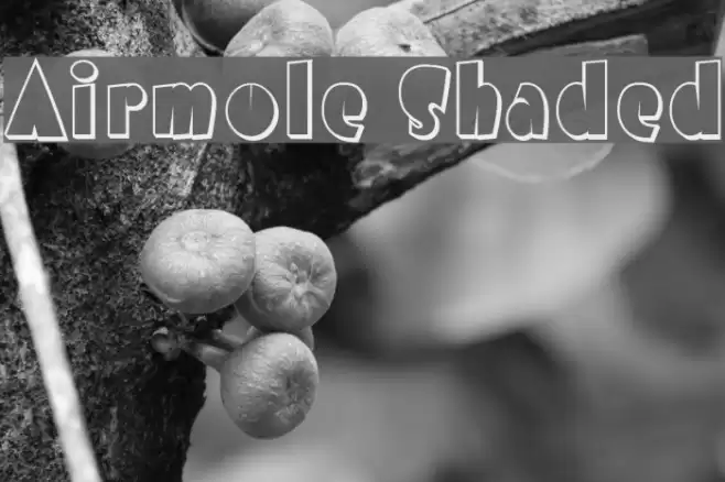 Airmole Shaded Font examples