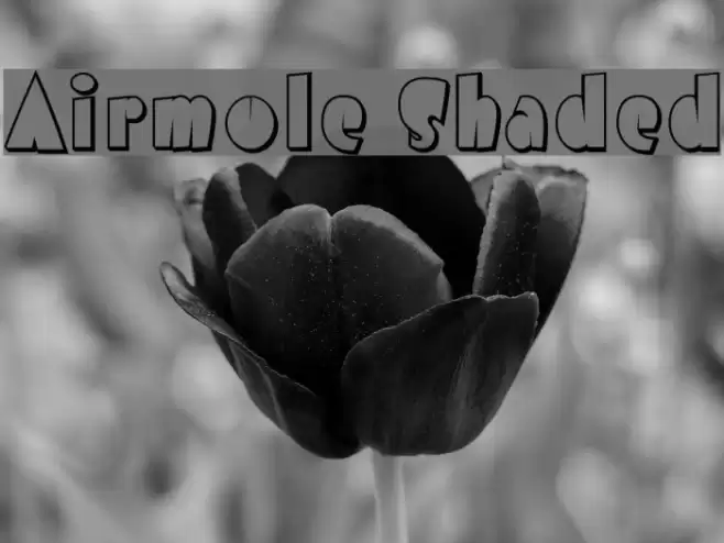 Airmole Shaded Font examples