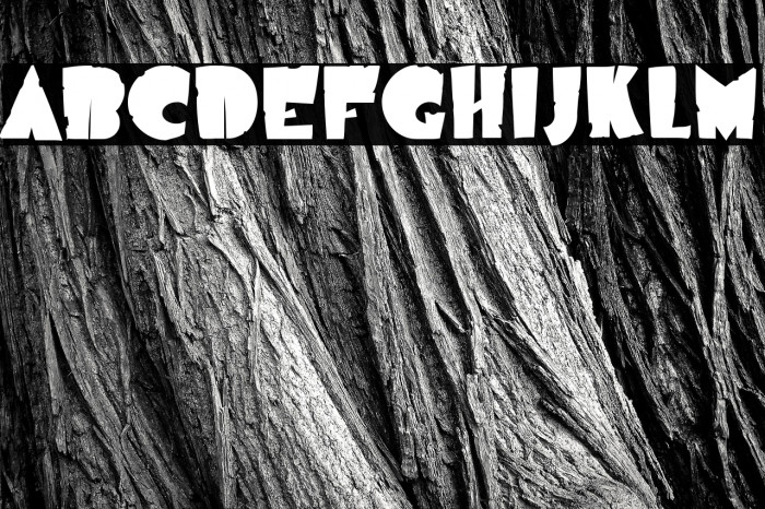 AirmoleAntique-Regular Example 2