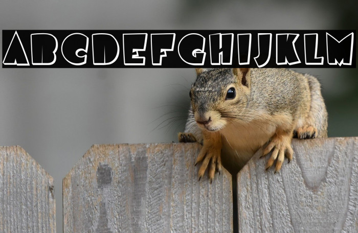 AirmoleShaded-Regular Example 1