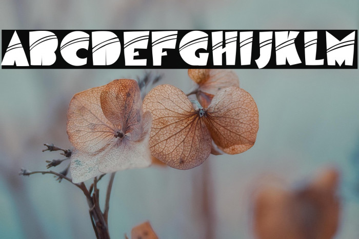 AirmoleStripe-Regular Example 1