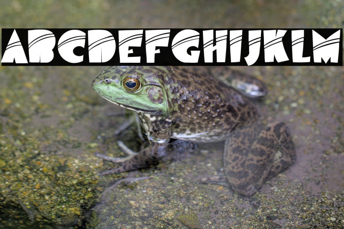 AirmoleStripe-Regular Example 3