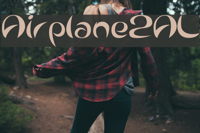 Airplane2AL Example 2