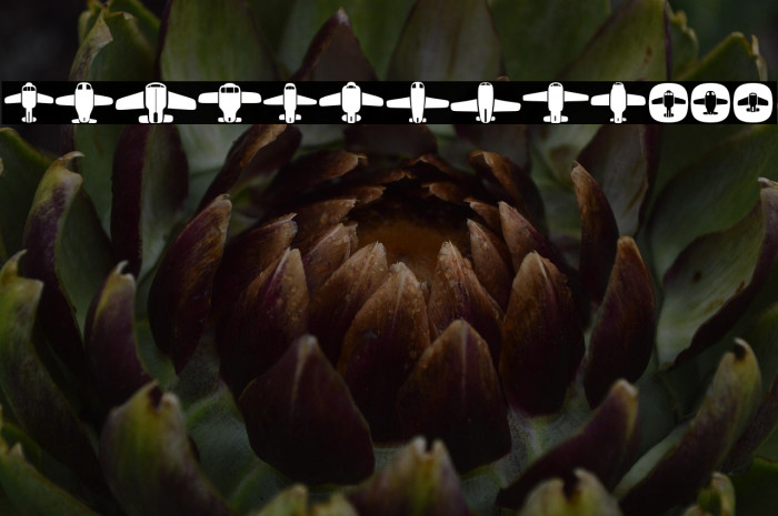 Airplanes Regular Example 1