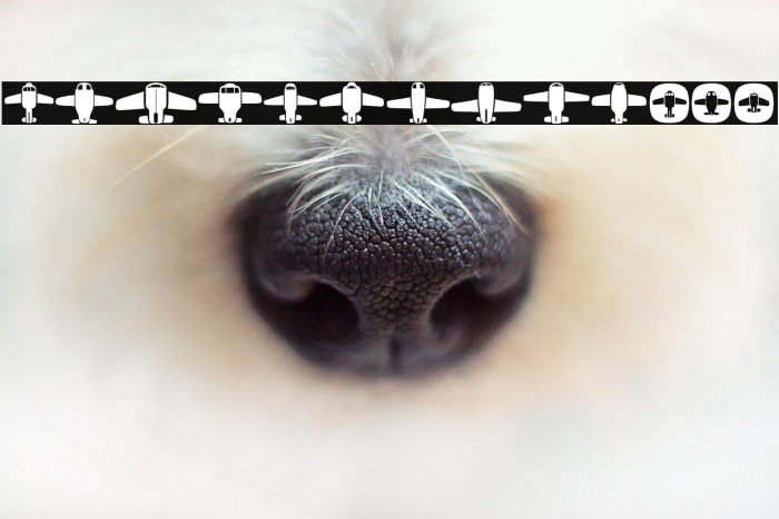 Airplanes Regular Example 2