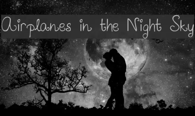 Airplanes in the Night Sky Polices examples