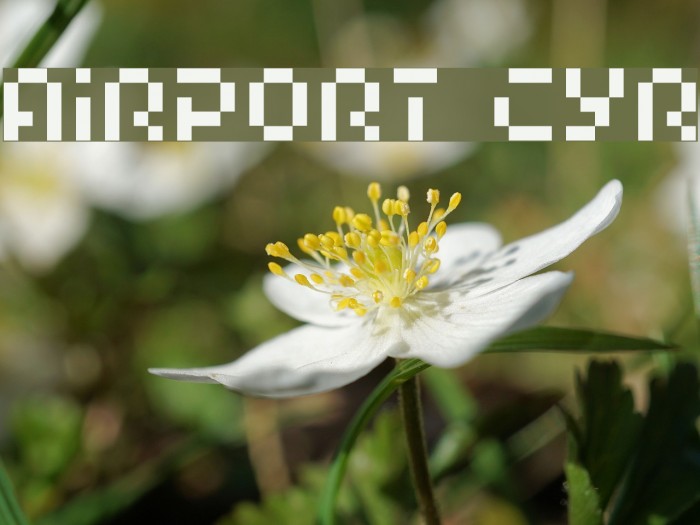 Airport Cyr Font examples
