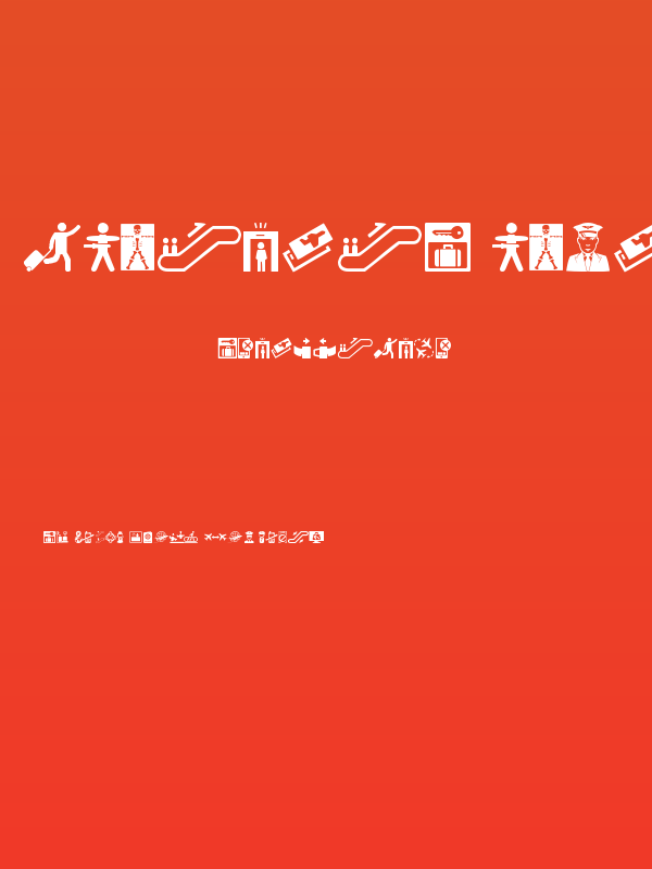 Airport Icons Poster