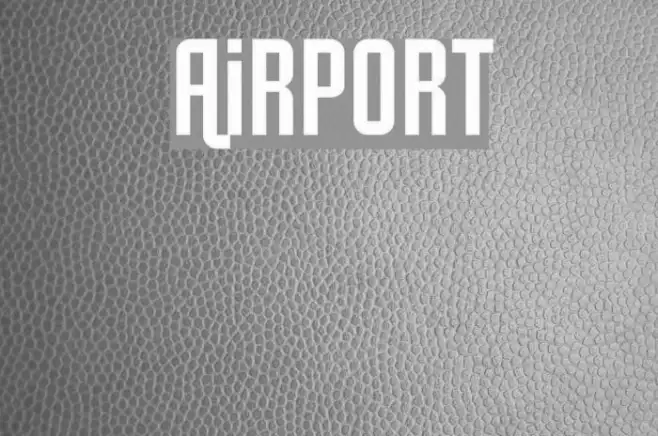 Airport Example 2