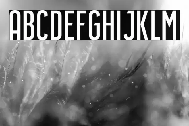 Airside Sans Regular Font examples