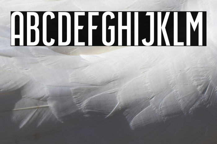 Airside Sans Regular Example 3