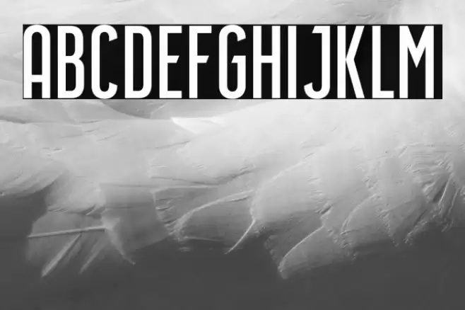 Airside Sans Regular Font examples