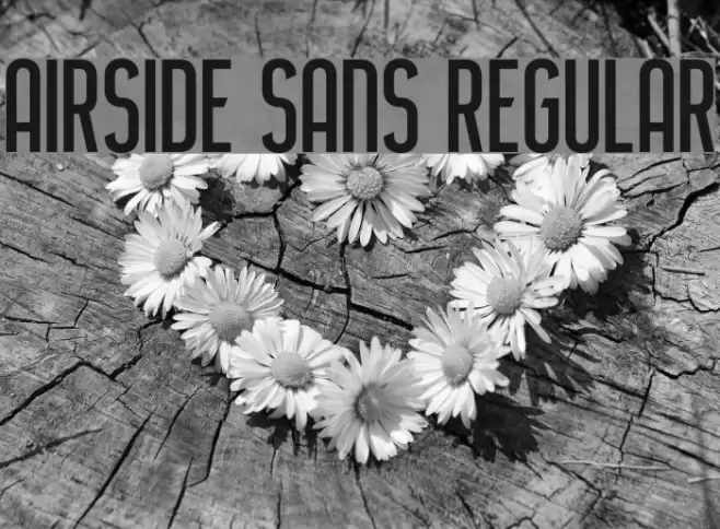 Airside Sans Regular Font examples
