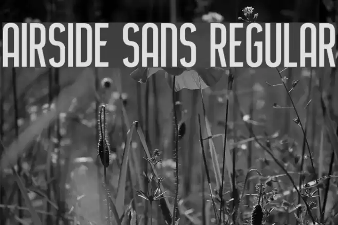 Airside Sans Regular Font examples