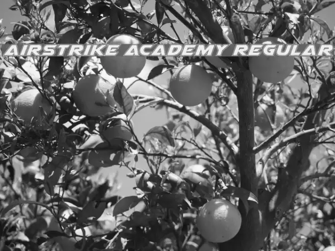 Airstrike Academy Regular Font examples
