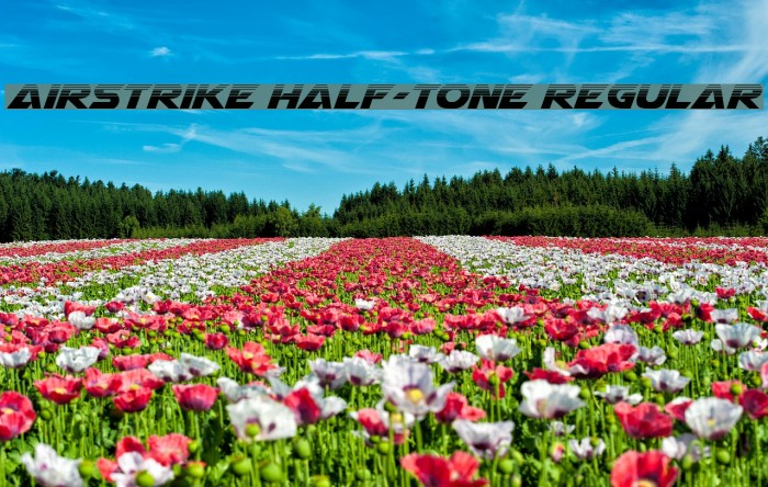 Airstrike Half-Tone Regular Font examples