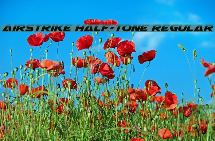 Airstrike Half-Tone Regular Font examples