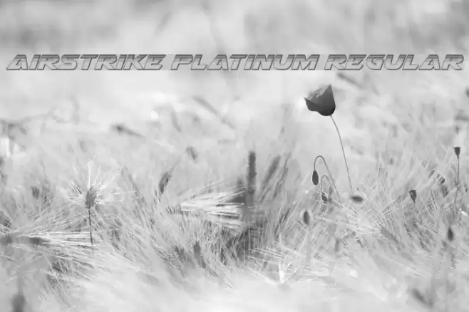Airstrike Platinum Regular Font examples