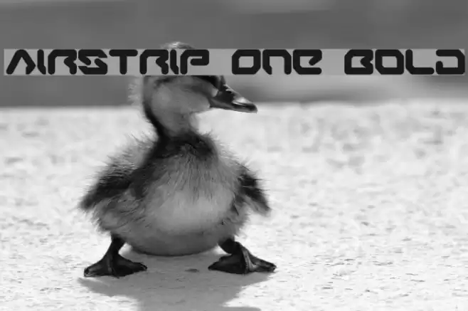 Airstrip One Bold Font examples