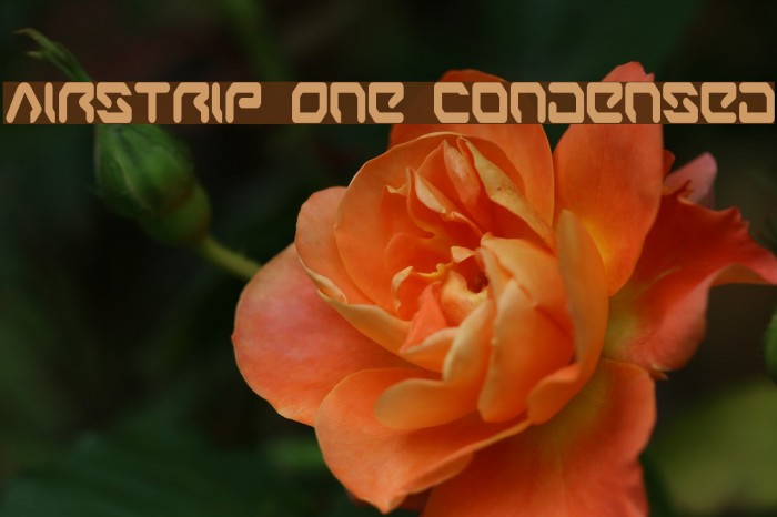 Airstrip One Condensed Font examples