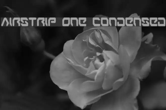 Airstrip One Condensed Font examples