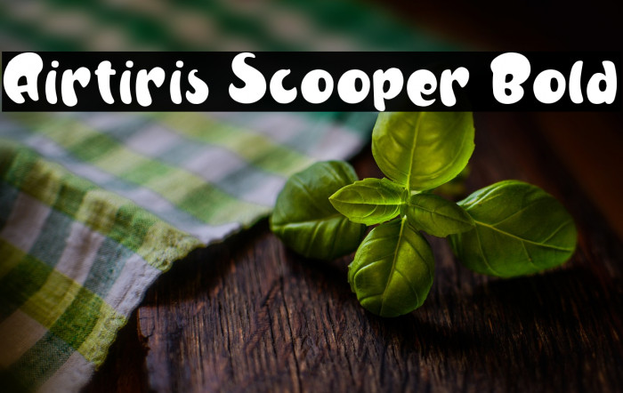 Airtiris Scooper Bold Example 2