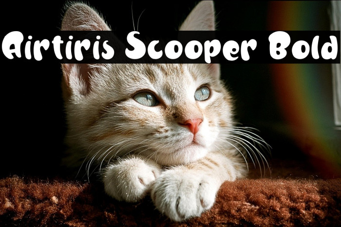 Airtiris Scooper Bold Example 3