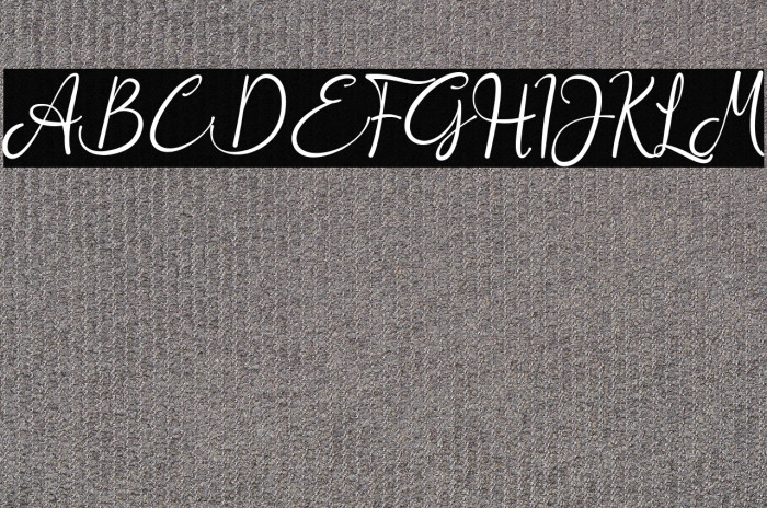 Aisbum Slashey Example 2