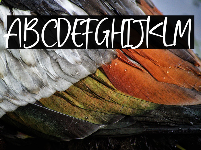 Aisha Blush Example 1