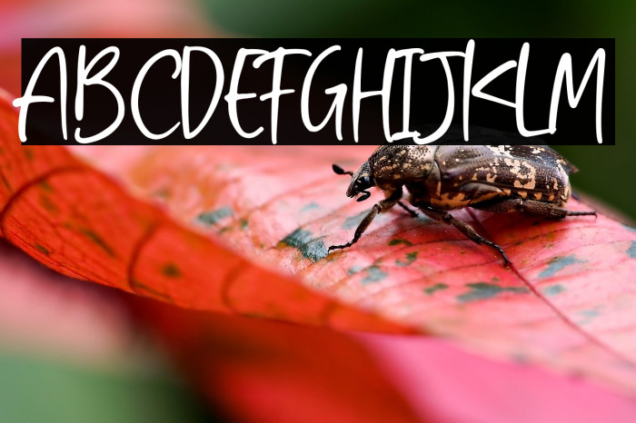 Aisha Blush Example 3