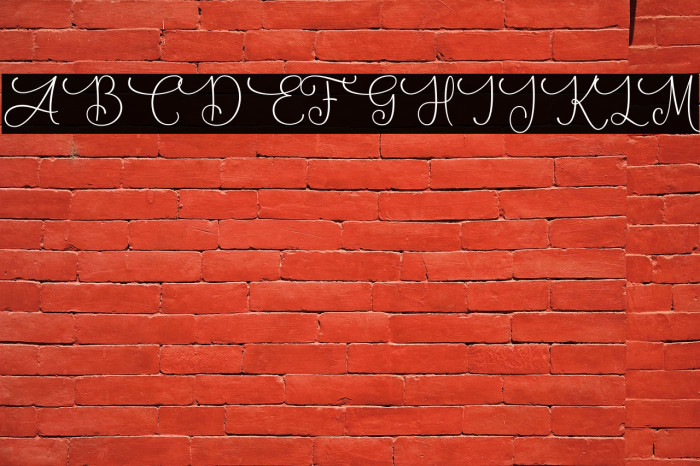 Aisha Demo Example 2