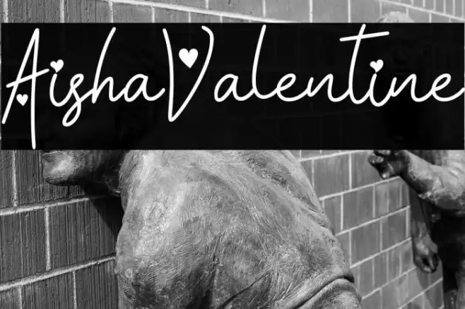 Aisha Valentine Example 2