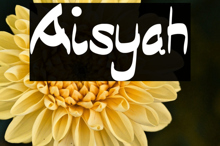 Aisyah Example 3